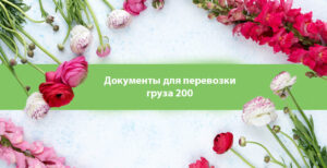 документы для перевозки груза 200